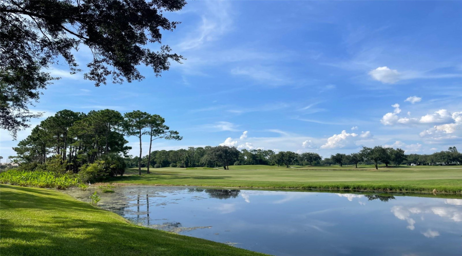 CELEBRATION, Florida 34747, 3 Bedrooms Bedrooms, ,2 BathroomsBathrooms,Residential,For Sale,PAWSTAND,0,MFRS5126276