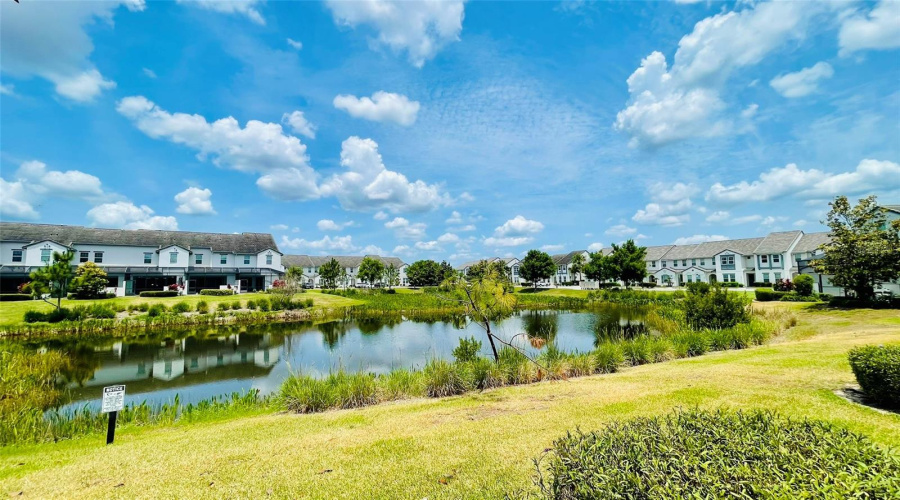 Lake View From The Pool