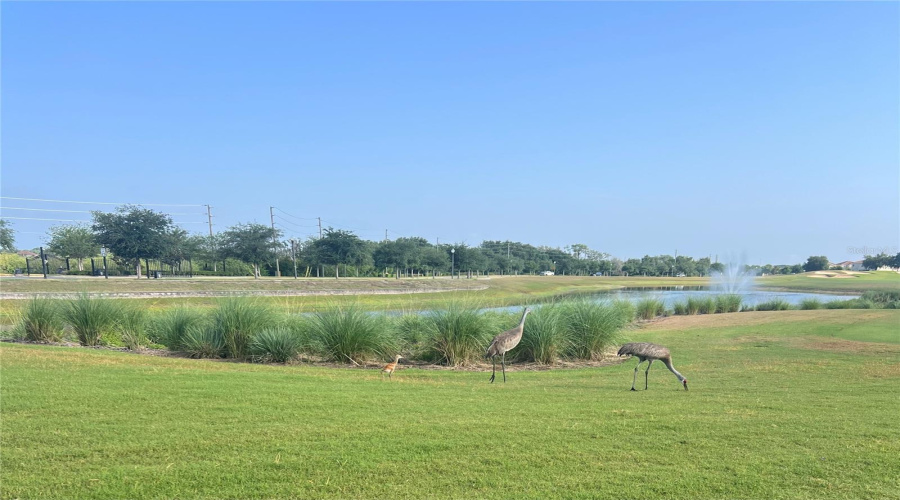 Davenport, Florida 33896, 5 Bedrooms Bedrooms, ,3 Bathroomsbathrooms,Residential,For Sale,Trappers Trail,Mfro6306193