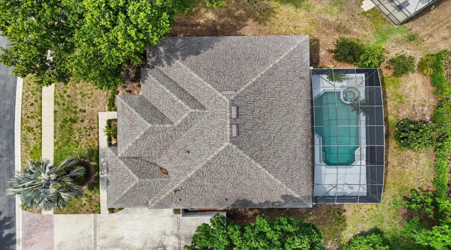 Over View Of The Amazing Lot.