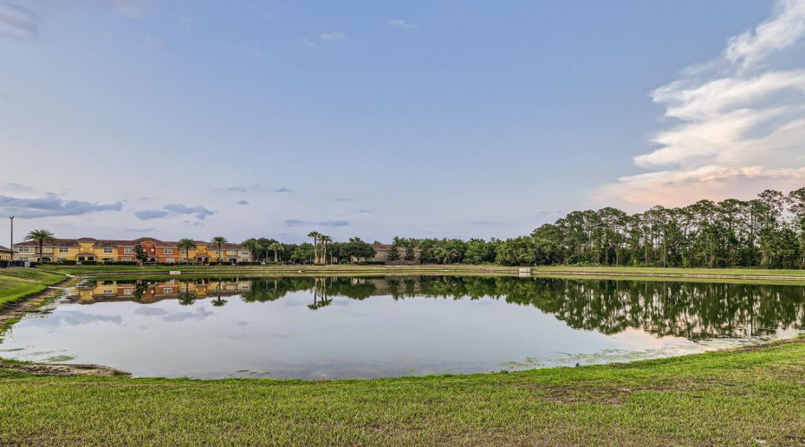 Pond View