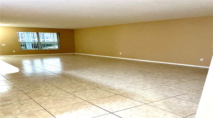 Living/Dining room area looking towards the front door.