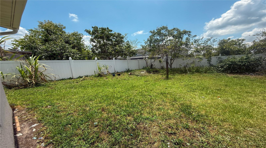 Back Yard
