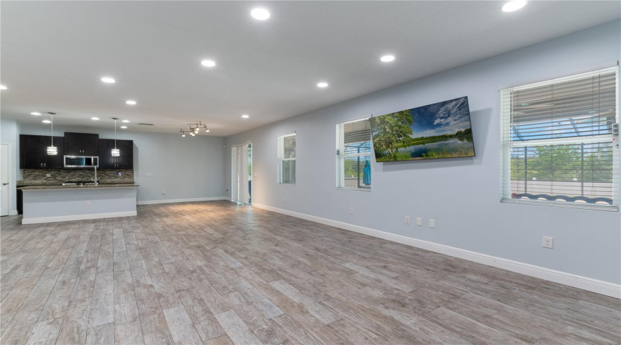Living Room/ Kitchen Overview