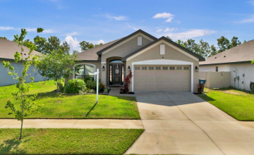 Property Search