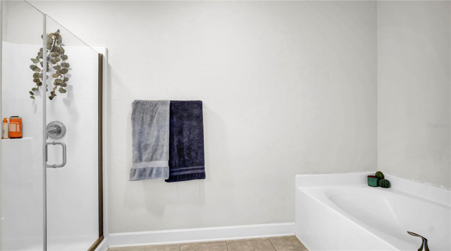 Garden Tub And Walk In Shower
