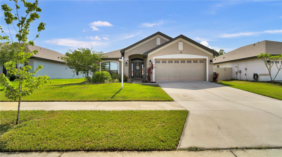 Front Of The House