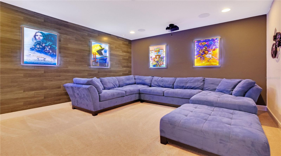 Plush Theater Seating