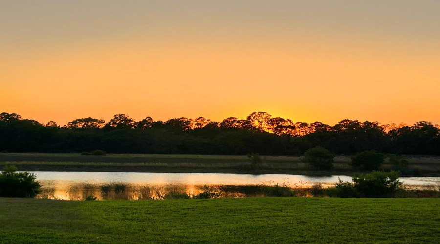 Pond 2