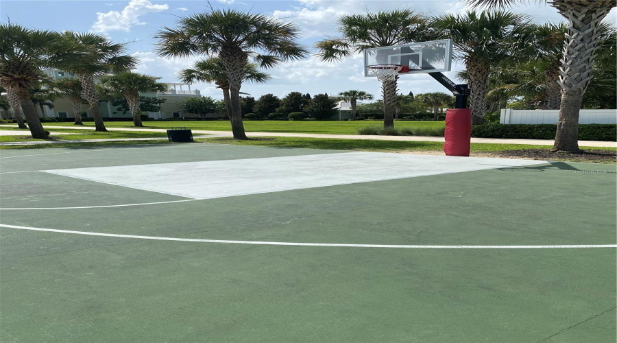 Basketball Court