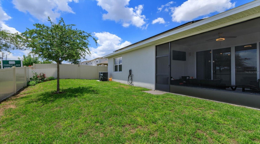 Back Yard With No Rear Neighbors
