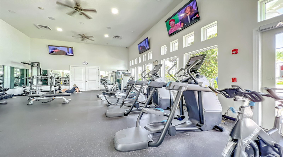 The Gym