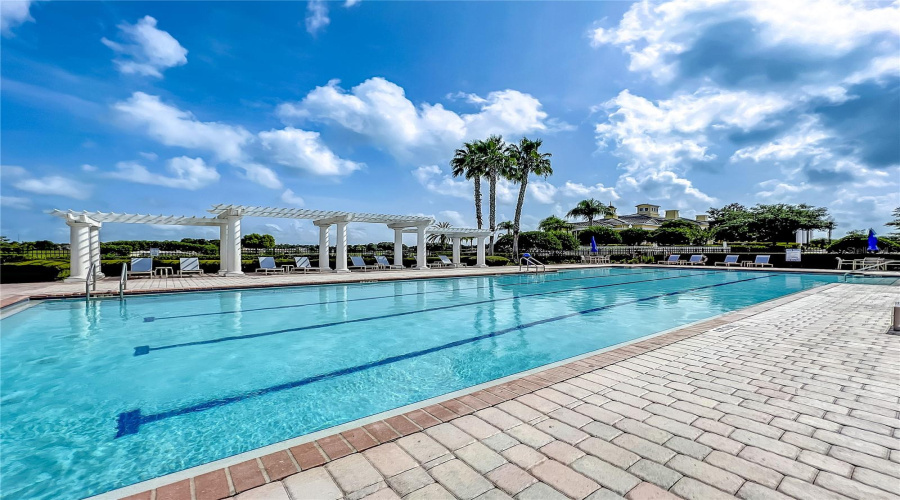 Lap Pool