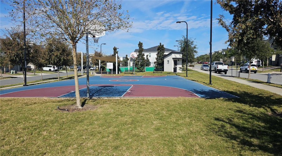 Basketball Court