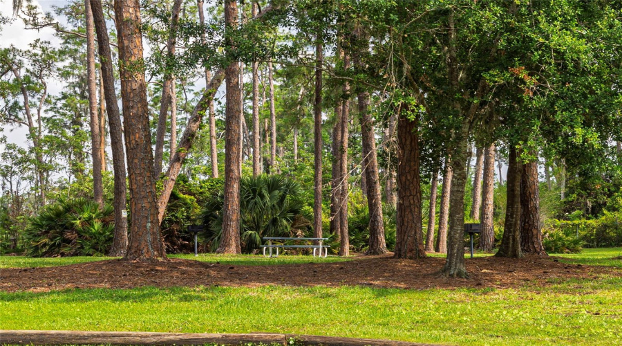 DAVENPORT, Florida 33897, 4 Bedrooms Bedrooms, ,2 BathroomsBathrooms,Residential,For Sale,HIGHWAY 27,0,MFRO6302143