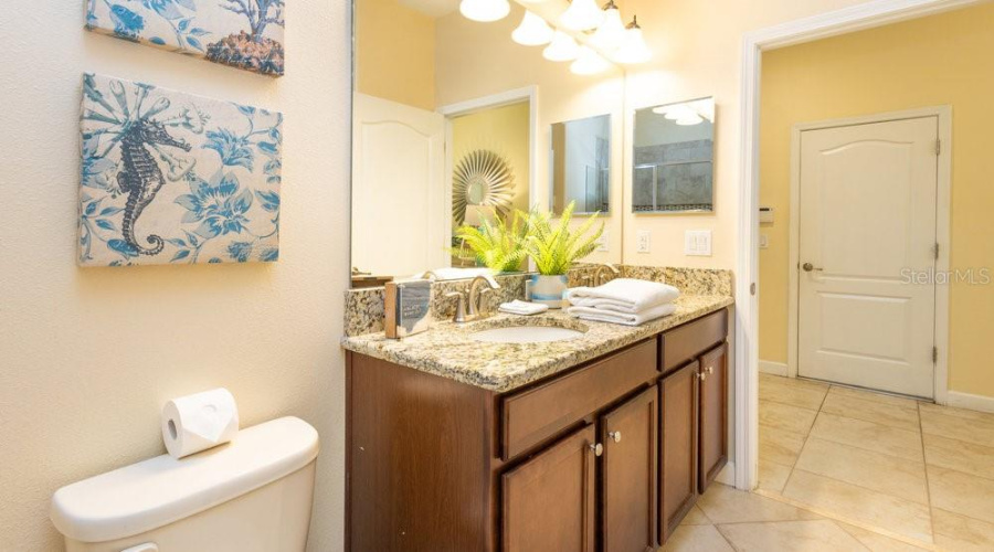 Guest Bath Lower Level