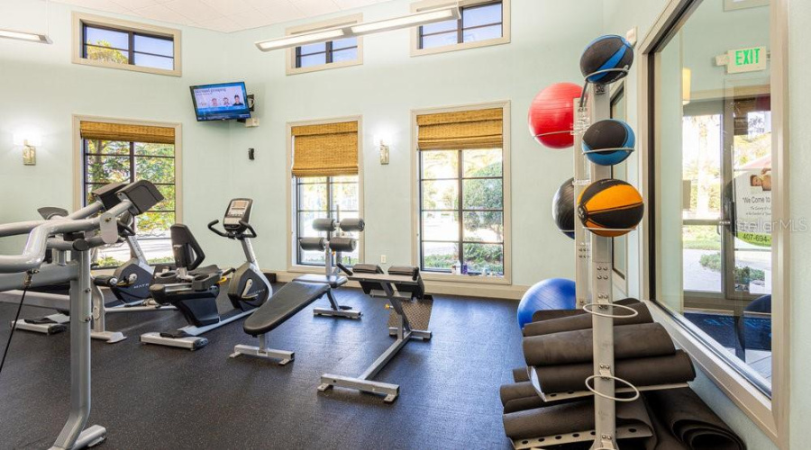 Clubhouse Gym