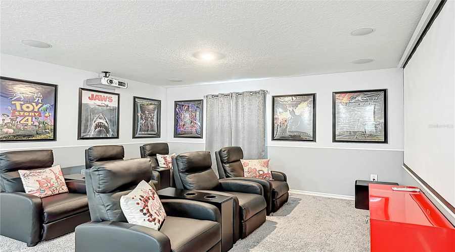 Theatre/Media Room