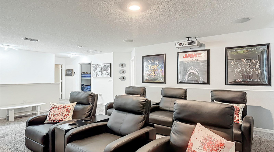 Theatre/Media Room