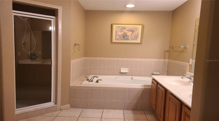 DAVENPORT, Florida 33897, 4 Bedrooms Bedrooms, ,4 BathroomsBathrooms,Residential,For Sale,VISTA,MFRO6309451
