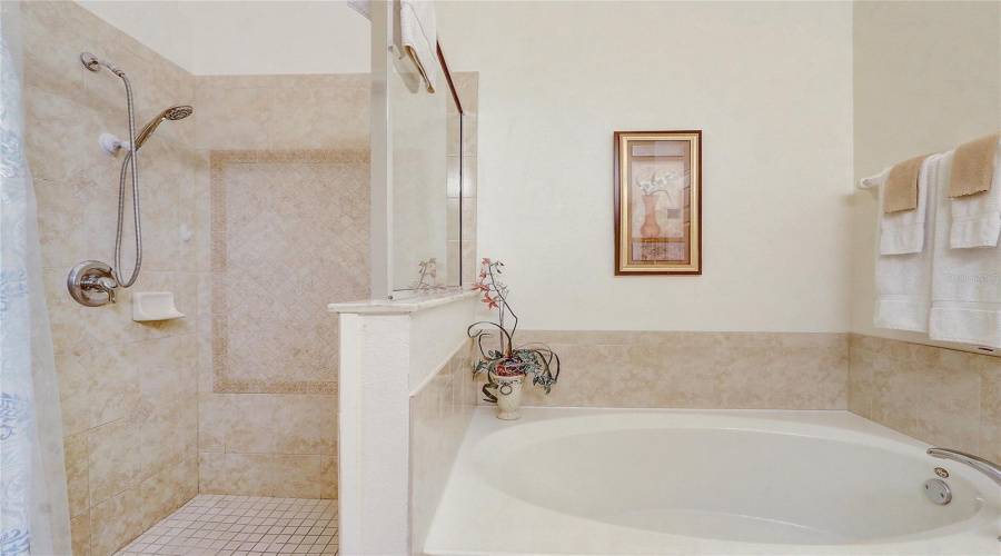 DAVENPORT, Florida 33837, 4 Bedrooms Bedrooms, ,3 BathroomsBathrooms,Residential,For Sale,ORANGE COSMOS,0,MFRO6311521