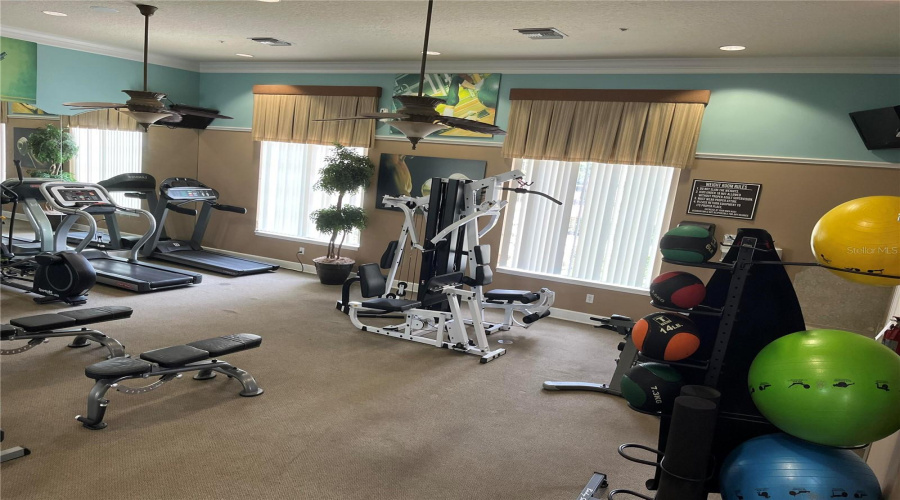 DAVENPORT, Florida 33837, 4 Bedrooms Bedrooms, ,3 BathroomsBathrooms,Residential,For Sale,ORANGE COSMOS,0,MFRO6311521