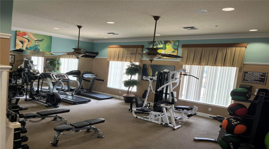 DAVENPORT, Florida 33837, 4 Bedrooms Bedrooms, ,3 BathroomsBathrooms,Residential,For Sale,ORANGE COSMOS,0,MFRO6311521