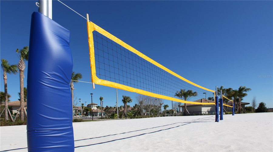 Volleyball