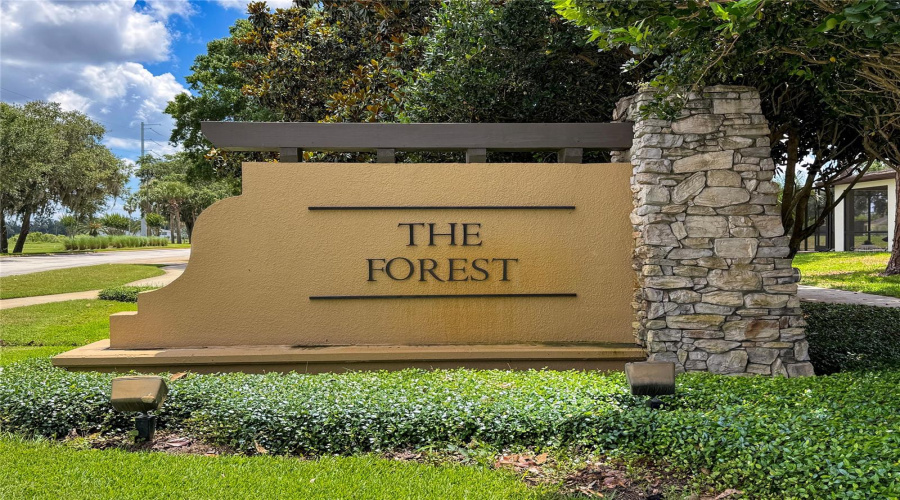Located In The Forest Community