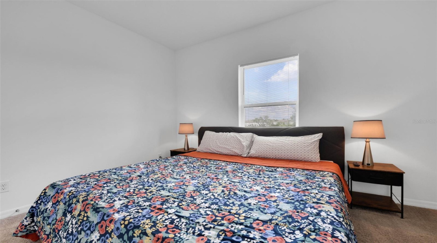 Downstairs - Bedroom