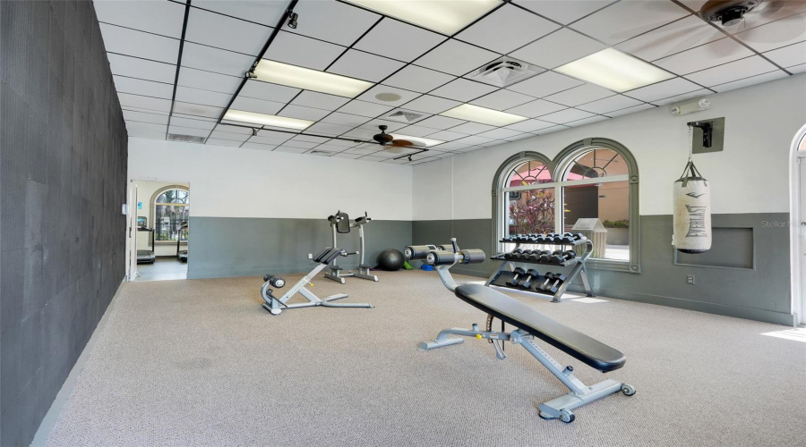 Davenport, Florida 33897, 3 Bedrooms Bedrooms, ,2 Bathroomsbathrooms,Residential,For Sale,Calabria,Mfro6313877