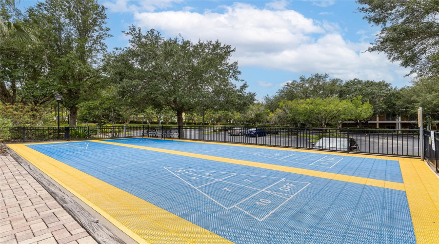 Shuffle Board