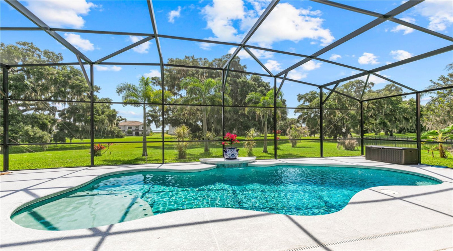 Magnificent Pool!