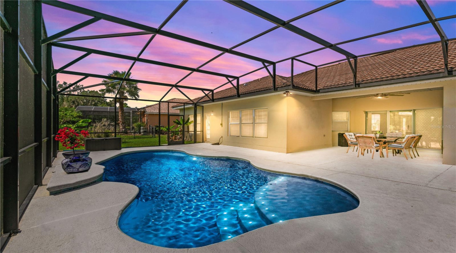 Pool And Deck Area