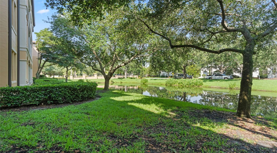 Celebration, Florida 34747, 1 Bedroom Bedrooms, ,1 Bathroombathrooms,Residential,For Sale,Mirasol,Mfro6313768