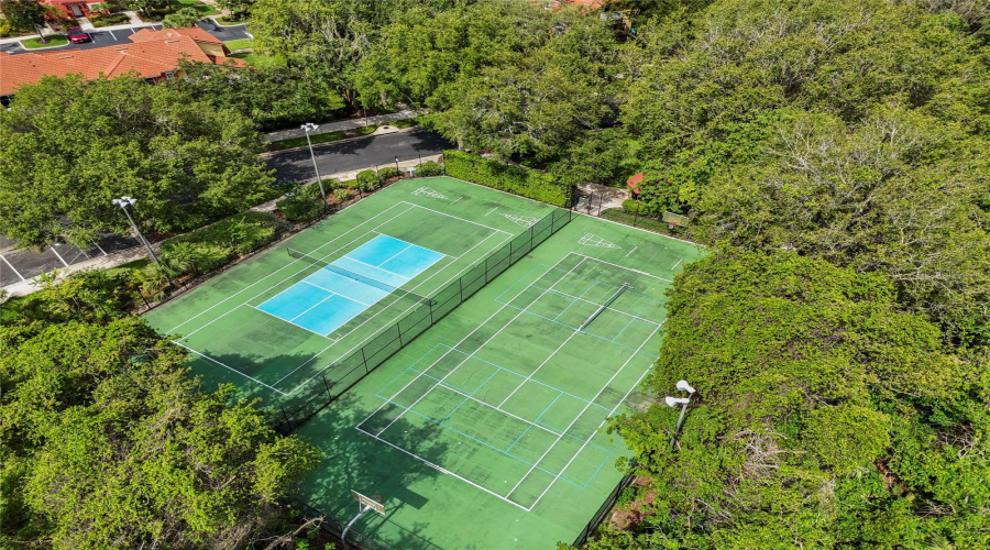 Basketball Court