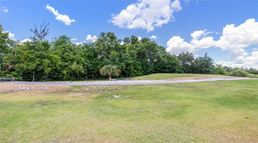 Reunion, Florida 34747, 5 Bedrooms Bedrooms, ,5 Bathroomsbathrooms,Residential,For Sale,Desert Mountain,Mfro6314000