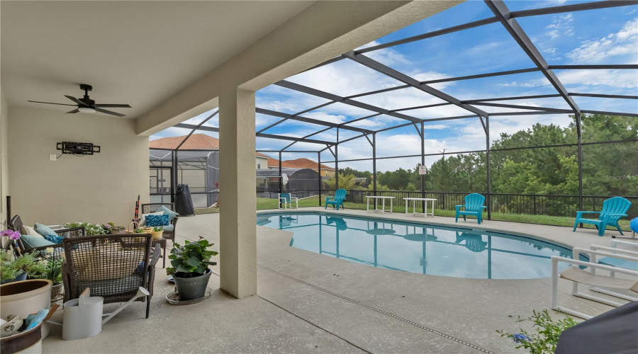 PRIVACY behind the pool!