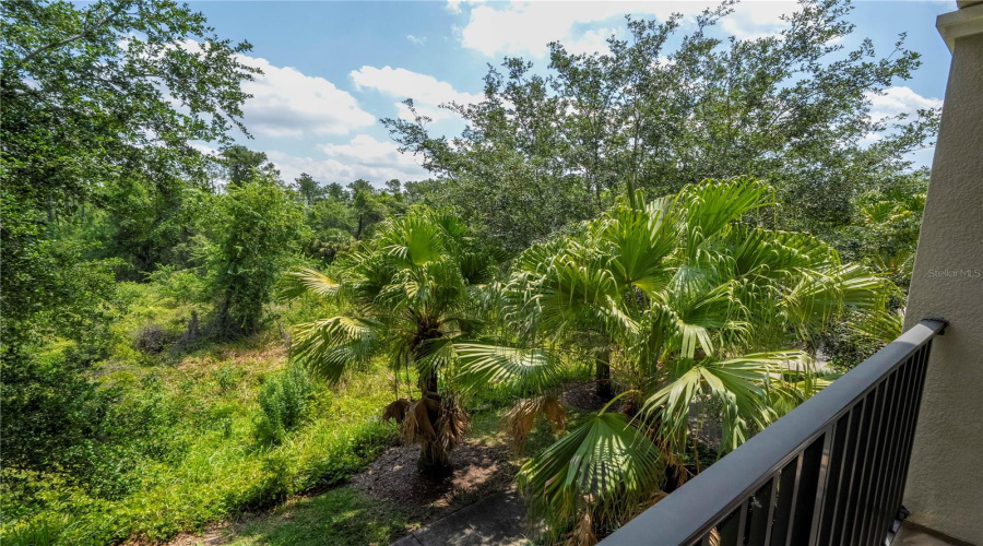 DAVENPORT, Florida 33896, 6 Bedrooms Bedrooms, ,5 BathroomsBathrooms,Residential,For Sale,SHINNECOCK HILLS,0,MFRO6314608