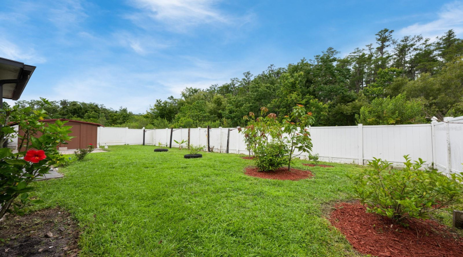 Privacy Fenced Yard And No Rear Neighbors.