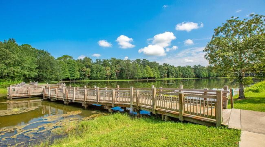 Celebration, Florida 34747, 4 Bedrooms Bedrooms, ,2 Bathroomsbathrooms,Residential,For Sale,Golden Canna,Mfro6312215