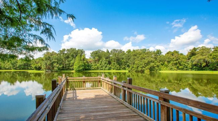Celebration, Florida 34747, 4 Bedrooms Bedrooms, ,2 Bathroomsbathrooms,Residential,For Sale,Golden Canna,Mfro6312215