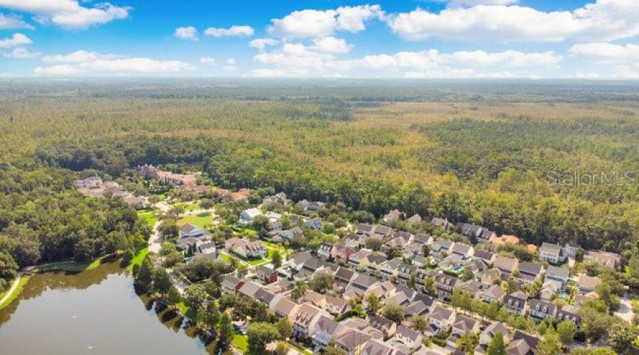 Celebration, Florida 34747, 4 Bedrooms Bedrooms, ,2 Bathroomsbathrooms,Residential,For Sale,Golden Canna,Mfro6312215
