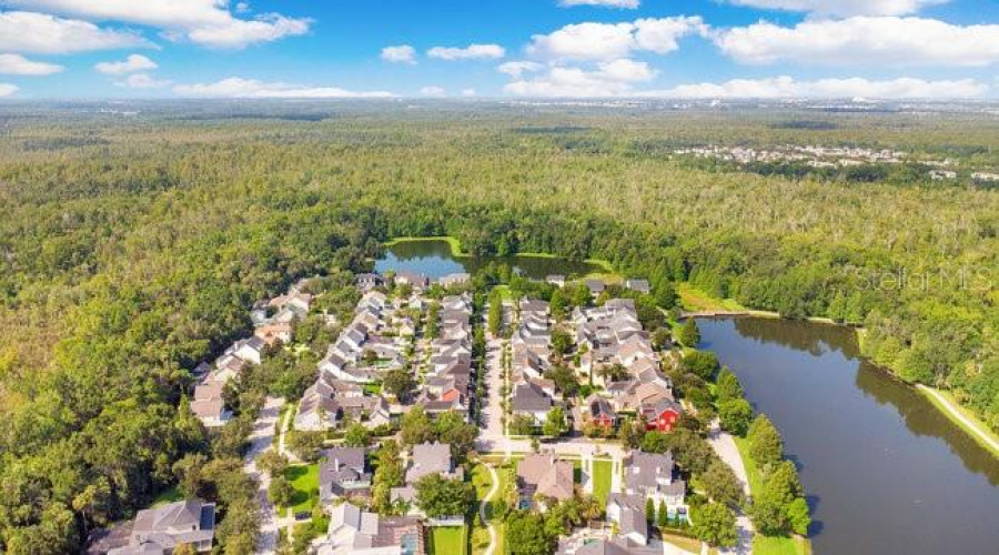 Celebration, Florida 34747, 4 Bedrooms Bedrooms, ,2 Bathroomsbathrooms,Residential,For Sale,Golden Canna,Mfro6312215