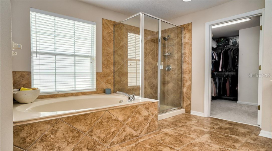 Celebration, Florida 34747, 4 Bedrooms Bedrooms, ,2 Bathroomsbathrooms,Residential,For Sale,Aquila,Mfrs5128268