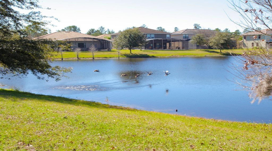 Gorgeous Pond View To Rear With Plenty Of Wildlife!