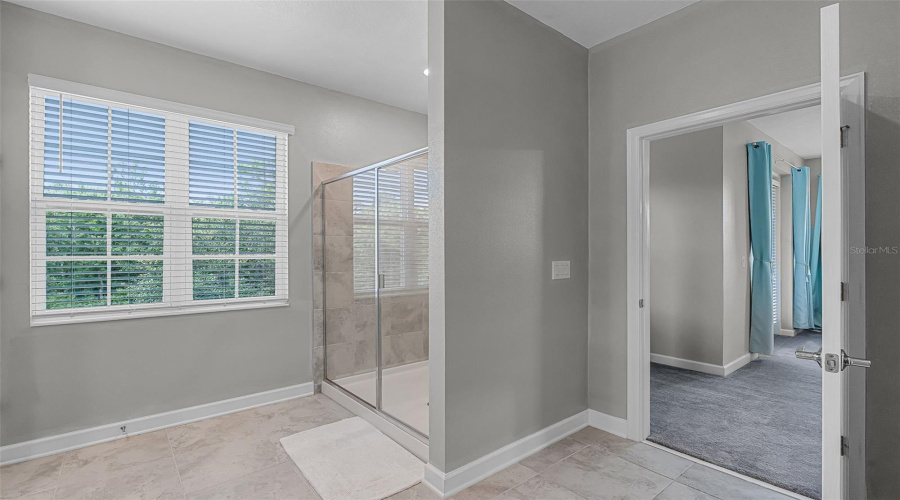 Primary Bath Shower