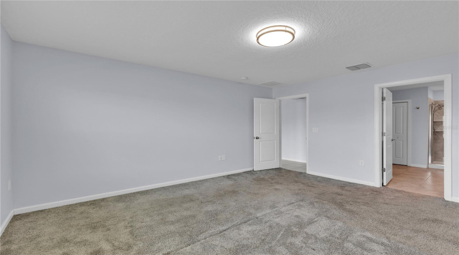 Spacious master suite