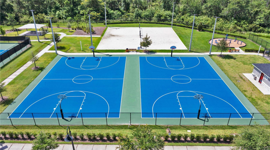 basketball court