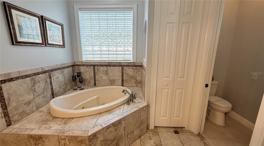 Master Bathroom Jacuzzi